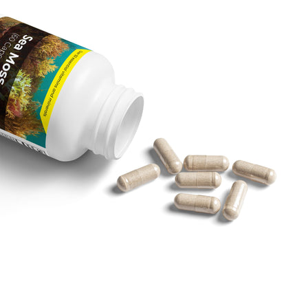 Sea Moss Supplement (60 Capsules)