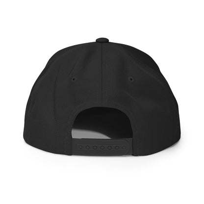 Comet Alumni - Snapback Hat